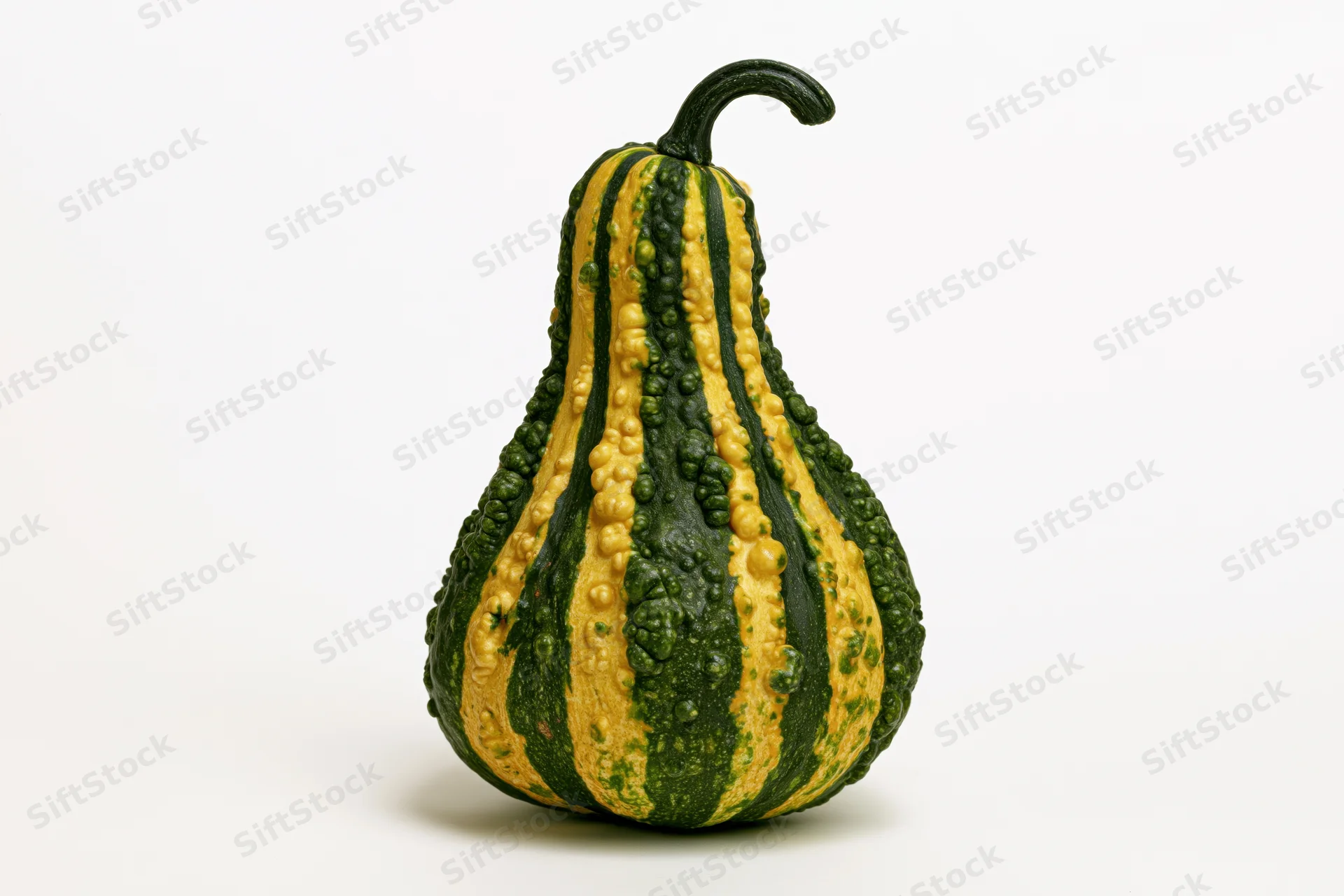 Ornamental gourd with green and yellow stripes and bumpy texture standing upright on white background