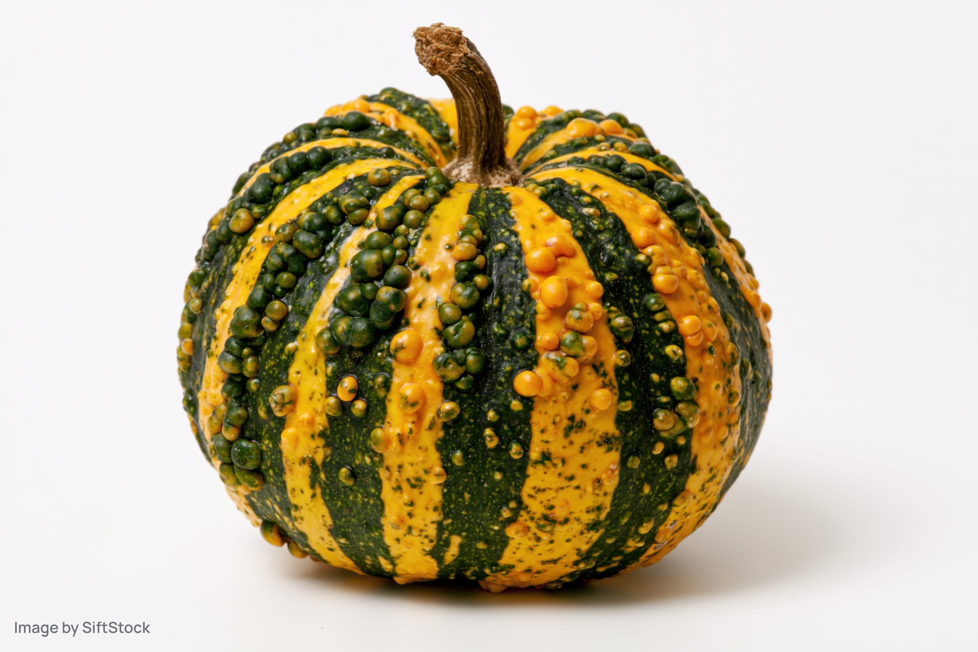 Ornamental gourd with green and yellow stripes and warty texture on white background