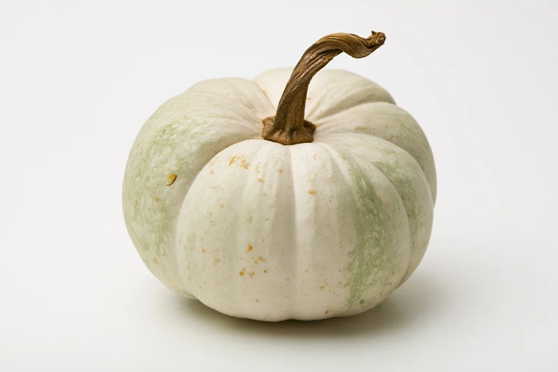 Pale white-green pumpkin with dried brown stem on plain white background