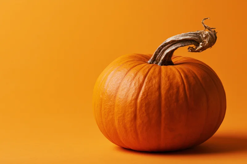 Small orange pumpkin with gnarled dried stem on solid orange background