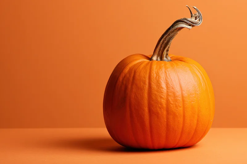 Small orange pumpkin with gnarled dried stem on orange surface