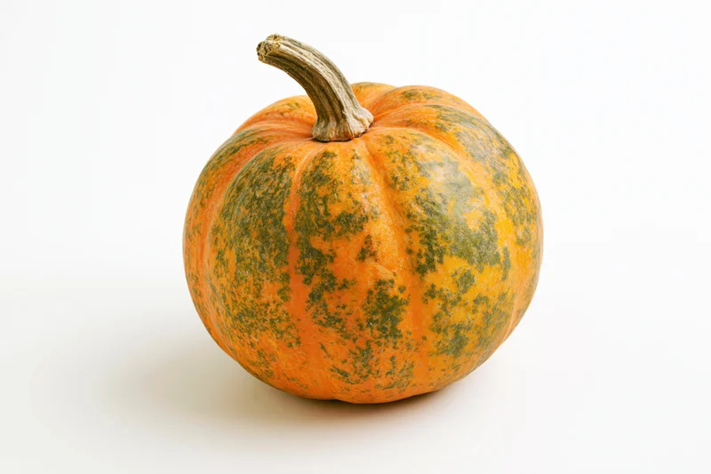 Small round pumpkin with dry woody stem on white background