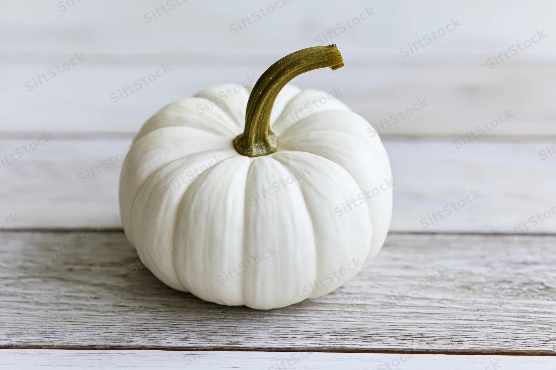 Small white ghost pumpkin with curved green stem resting on weathered wooden surface
