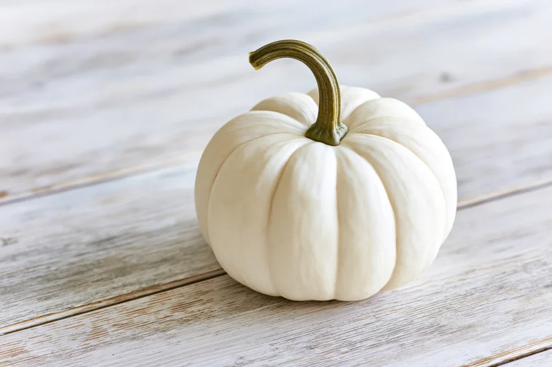 Small white ghost pumpkin with curved green stem on rustic wooden table
