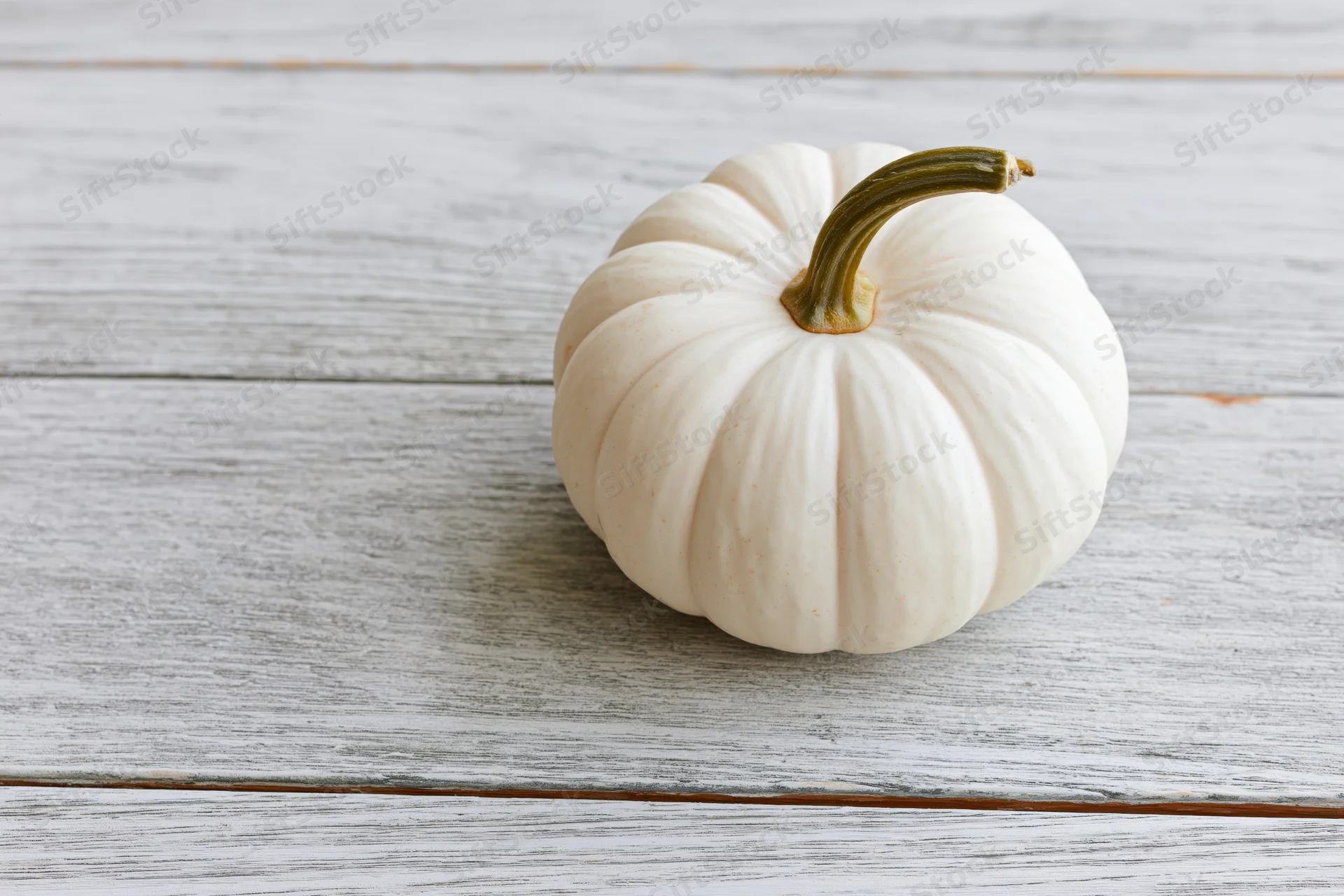 Small white ghost pumpkin with curved green stem on weathered wooden surface