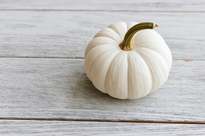 Small white ghost pumpkin with curved green stem on weathered wooden surface