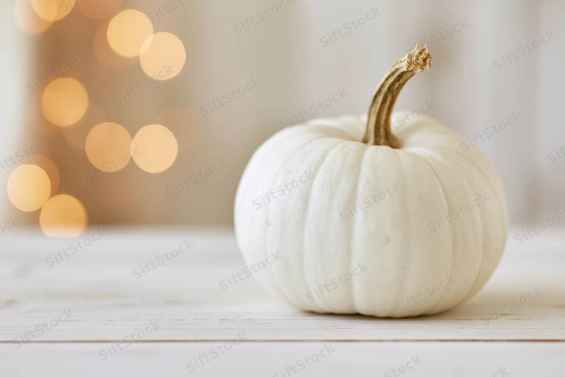 Small white heirloom pumpkin with dry tan stem on wooden table against warm bokeh lights