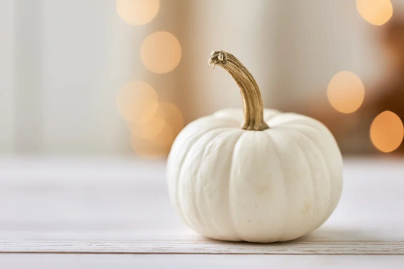 Small white heirloom pumpkin with dry tan stem on wooden table against warm bokeh lights