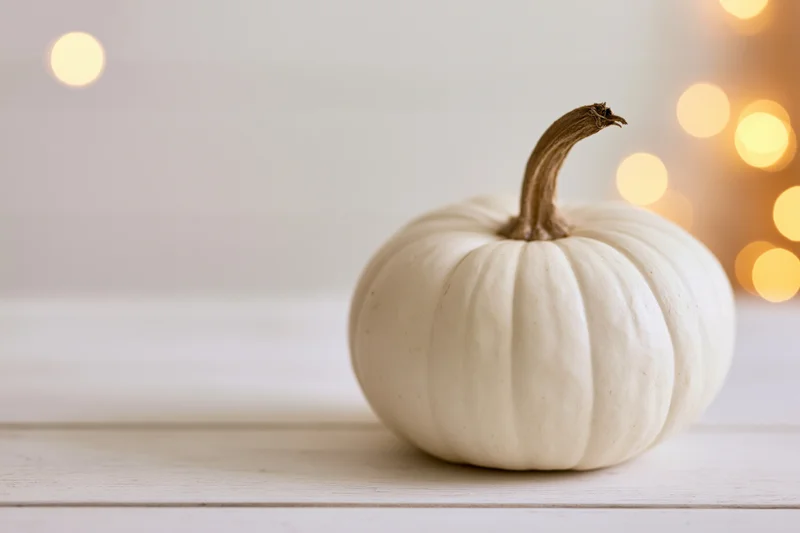 Small white heirloom pumpkin with dry tan stem on wooden table against soft glowing lights
