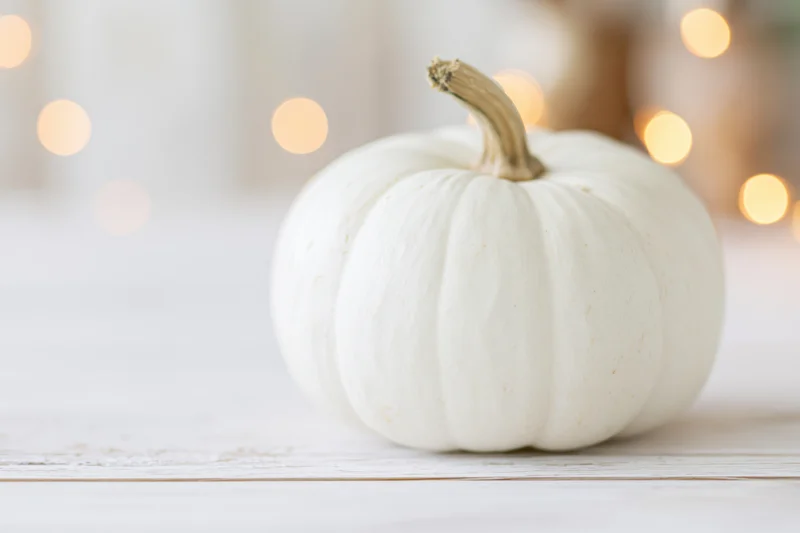 Small white heirloom pumpkin with dry tan stem on wooden table against warm bokeh lights