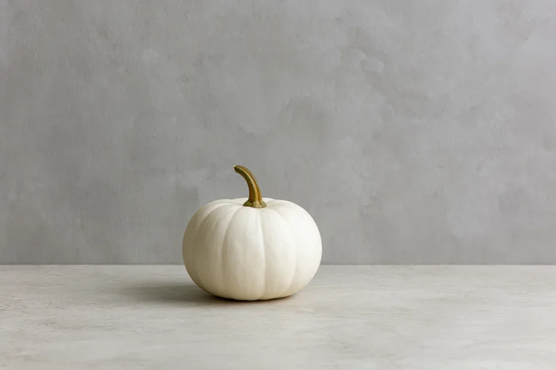 Small white pumpkin resting on a light gray surface against a concrete wall