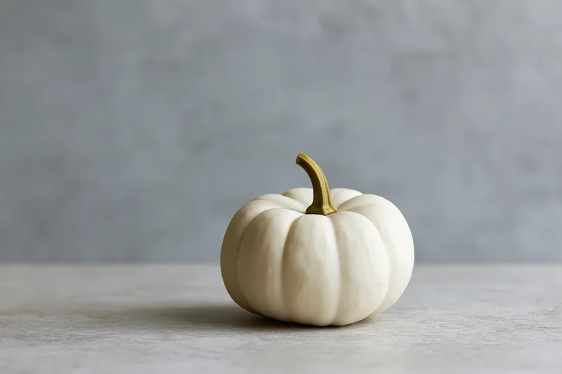 Small white pumpkin resting on a gray textured surface