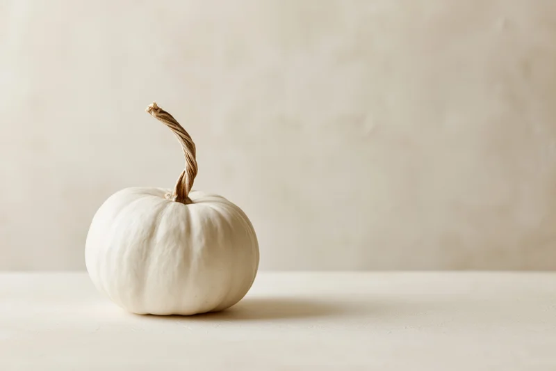 Small white pumpkin with twisted dried stem on a neutral surface