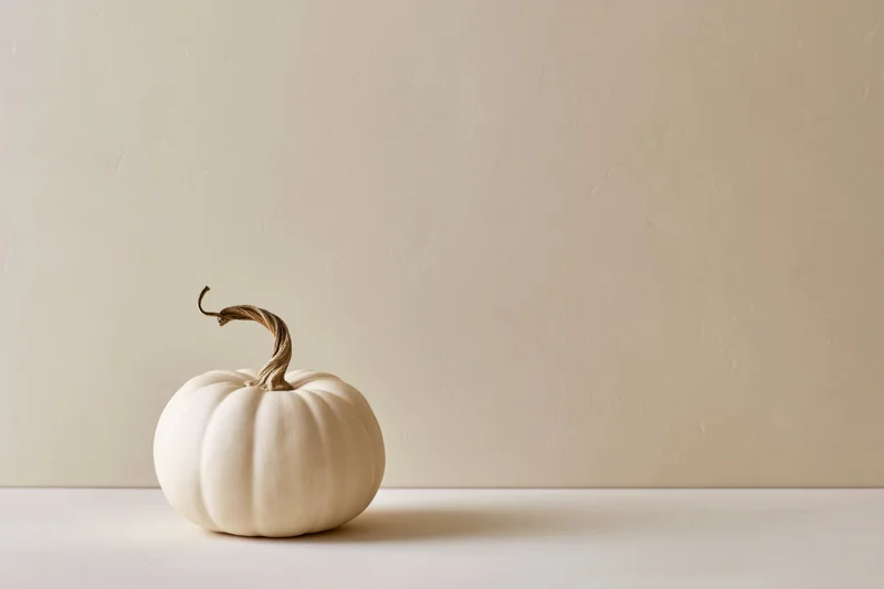 Small white pumpkin with dried twisted stem on a neutral surface