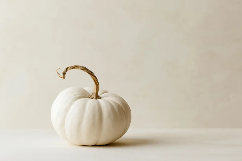 Small white pumpkin with dried twisted stem on a neutral surface