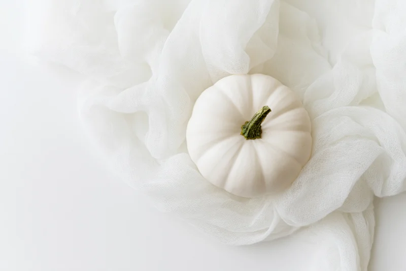 Small white pumpkin resting on sheer white fabric with copyspace on white background