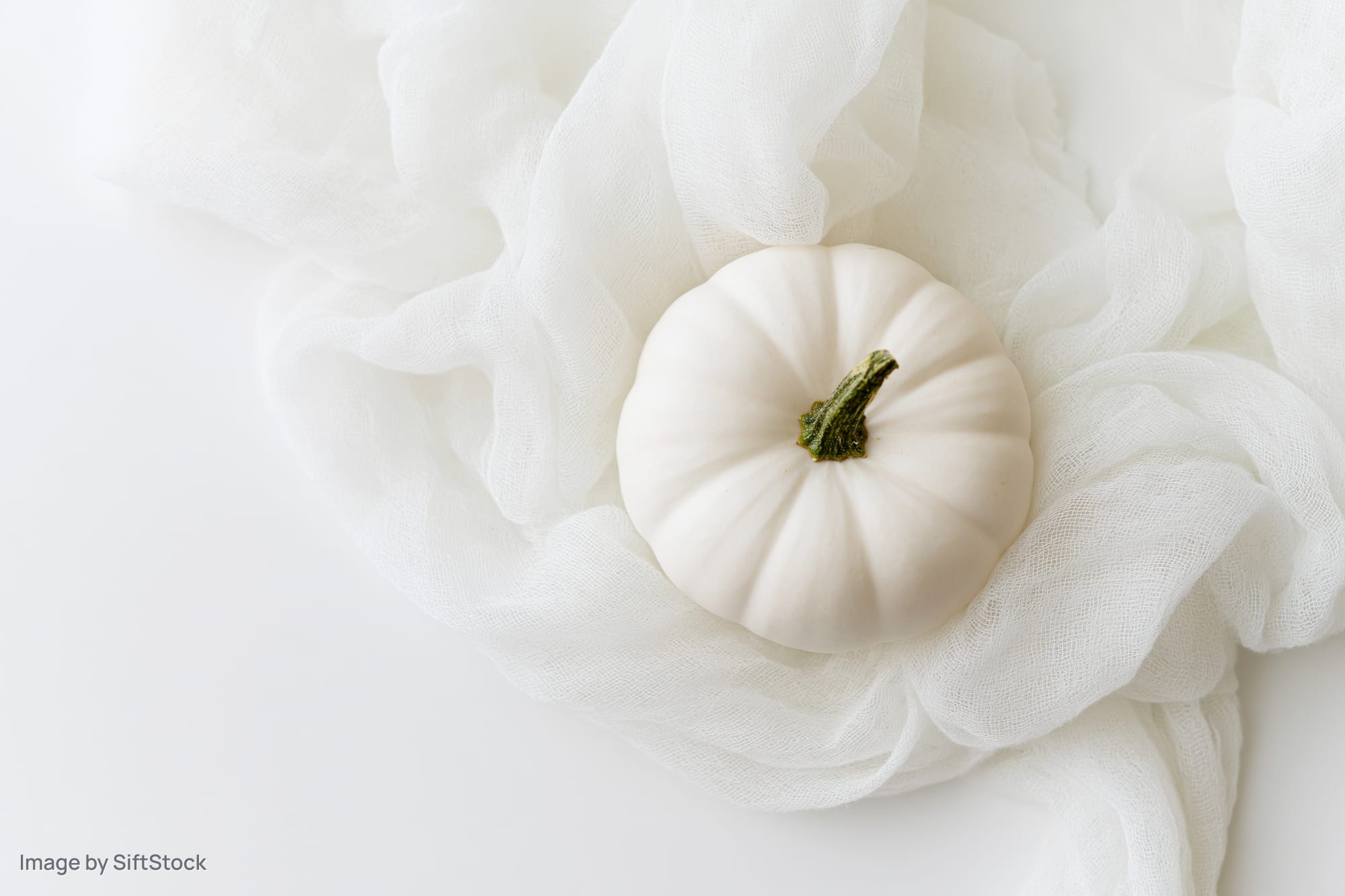Small white pumpkin resting on sheer white fabric with copyspace on white background