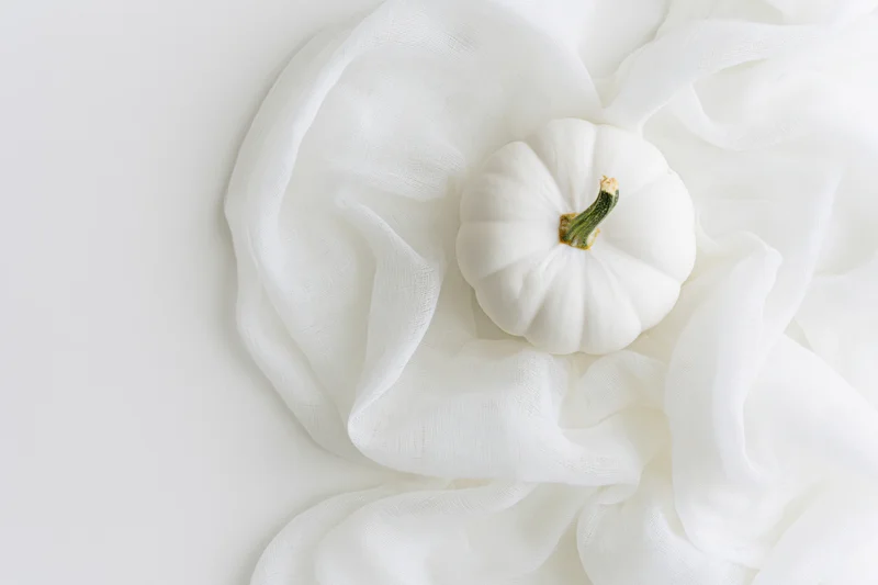 Small white pumpkin resting on sheer white fabric in flat lay composition