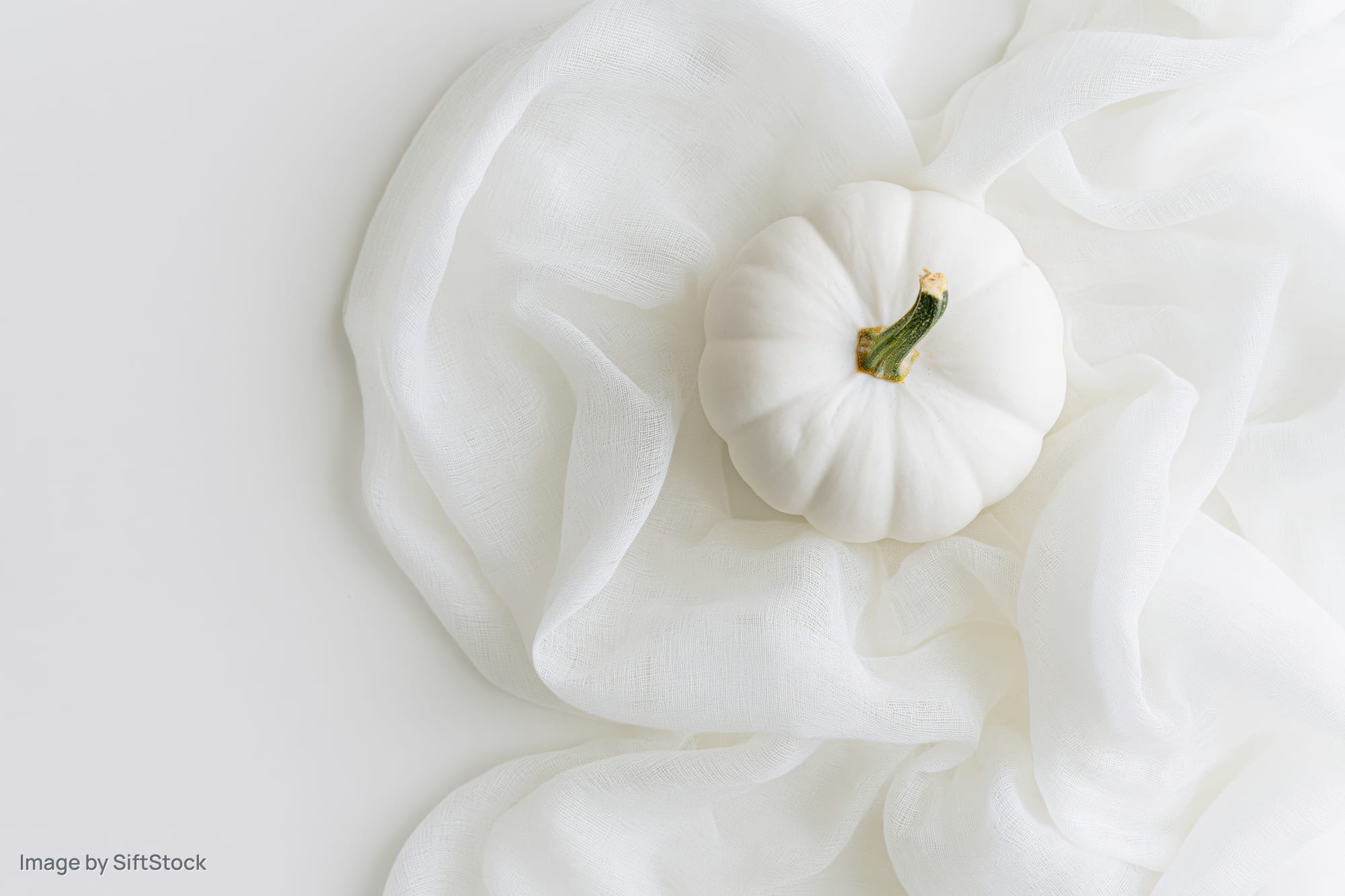 Small white pumpkin resting on sheer white fabric in flat lay composition