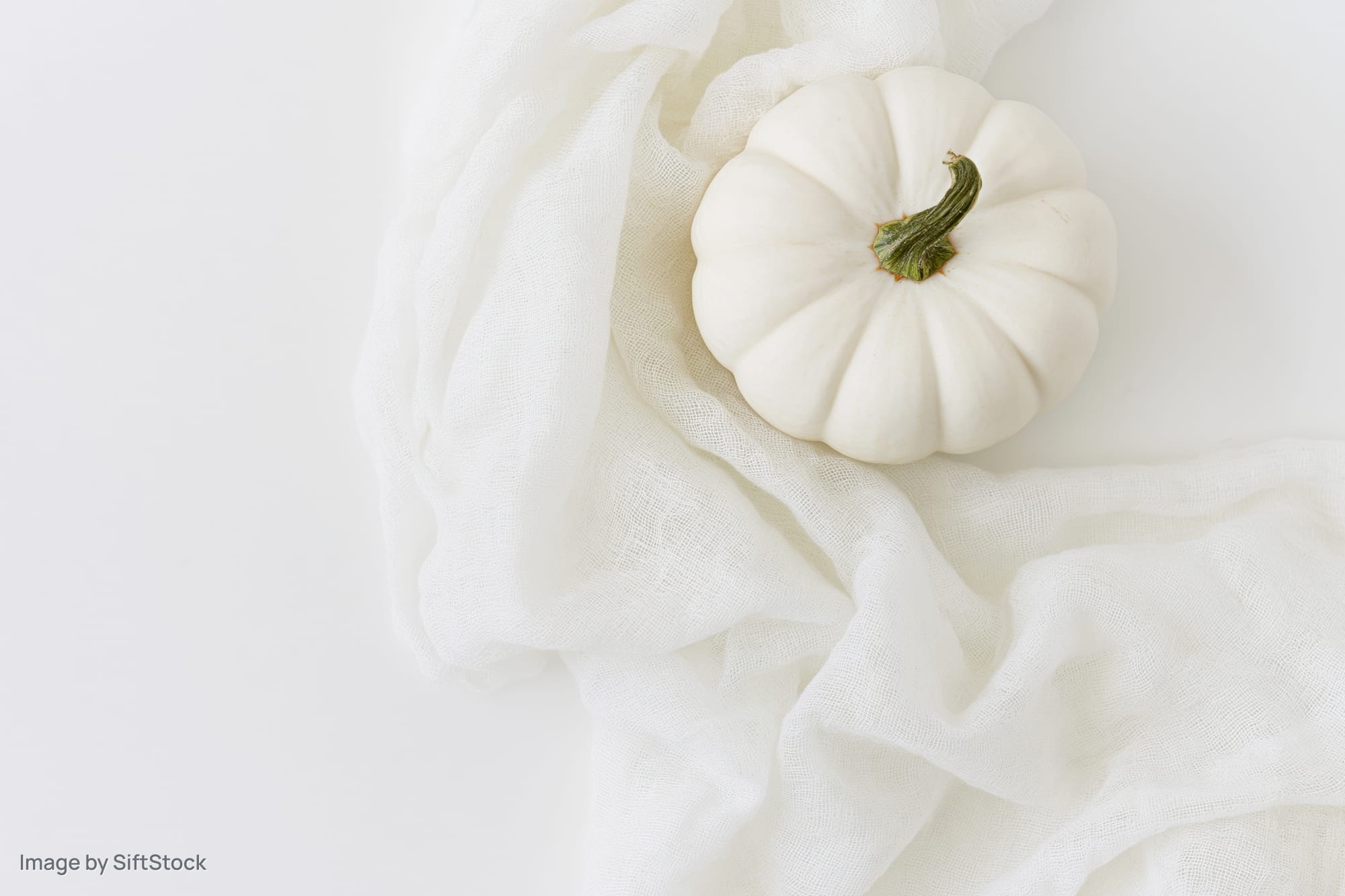 Small white pumpkin resting on draped white fabric with copyspace on left