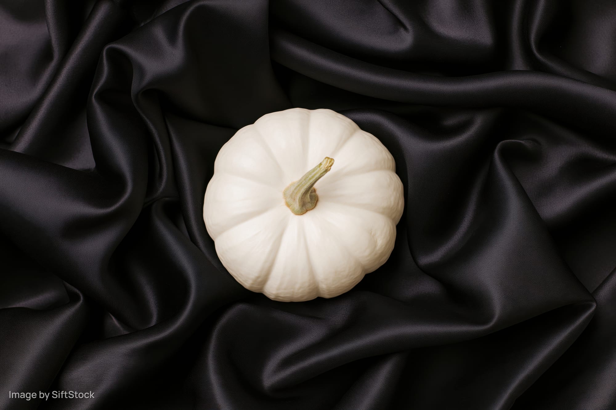 Small white pumpkin with pale green stem resting on black satin fabric