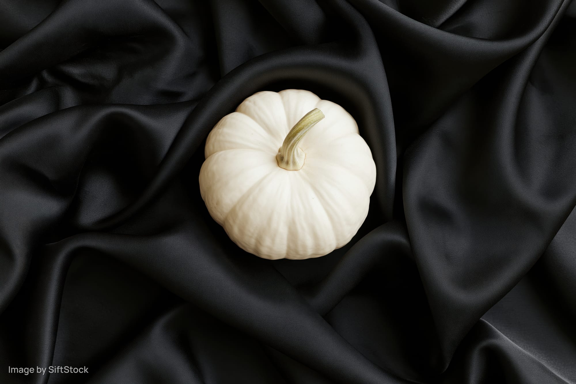 Small white pumpkin resting on black satin fabric in a flat lay composition