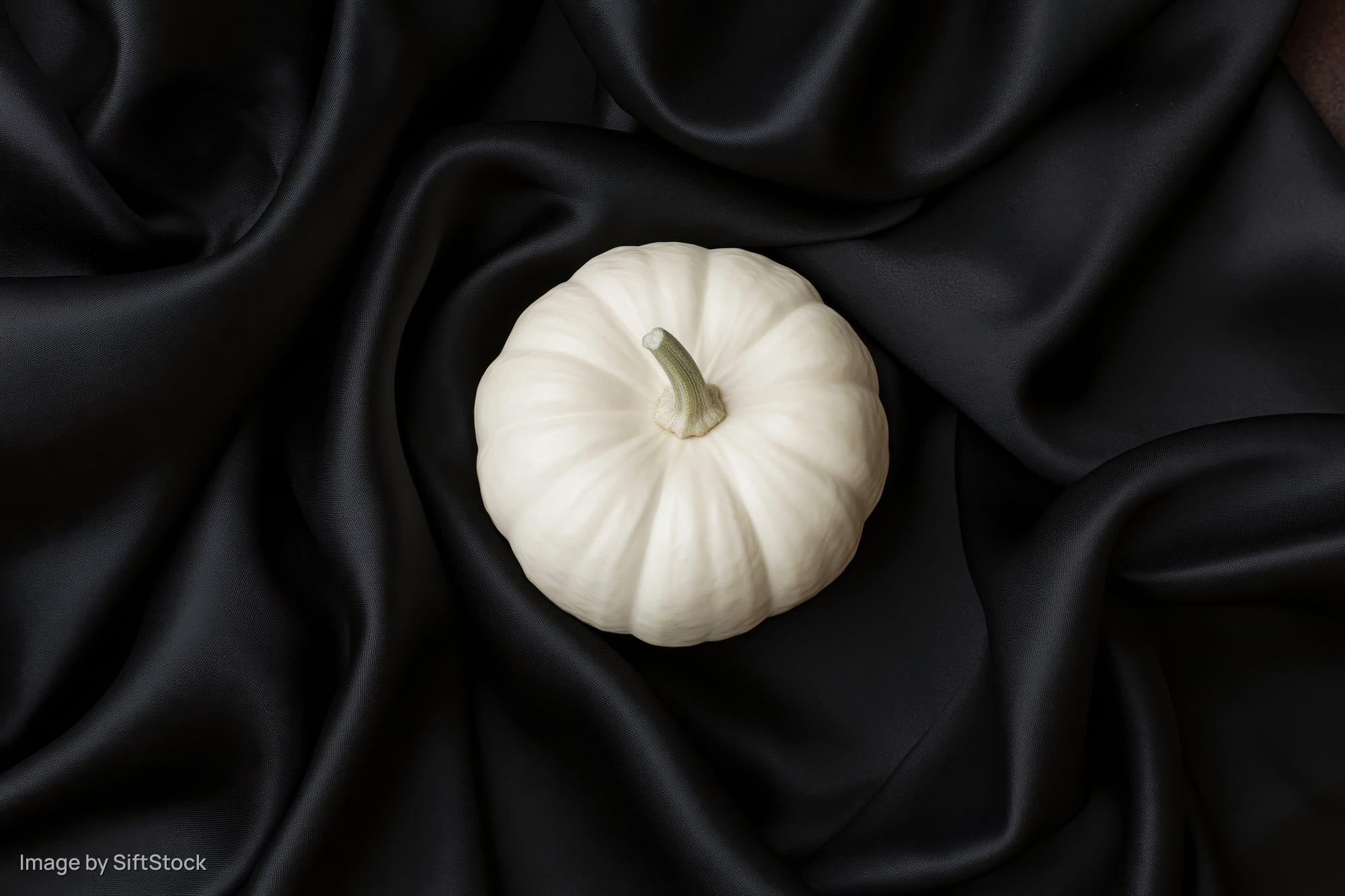 Small white pumpkin with pale green stem resting on black satin fabric
