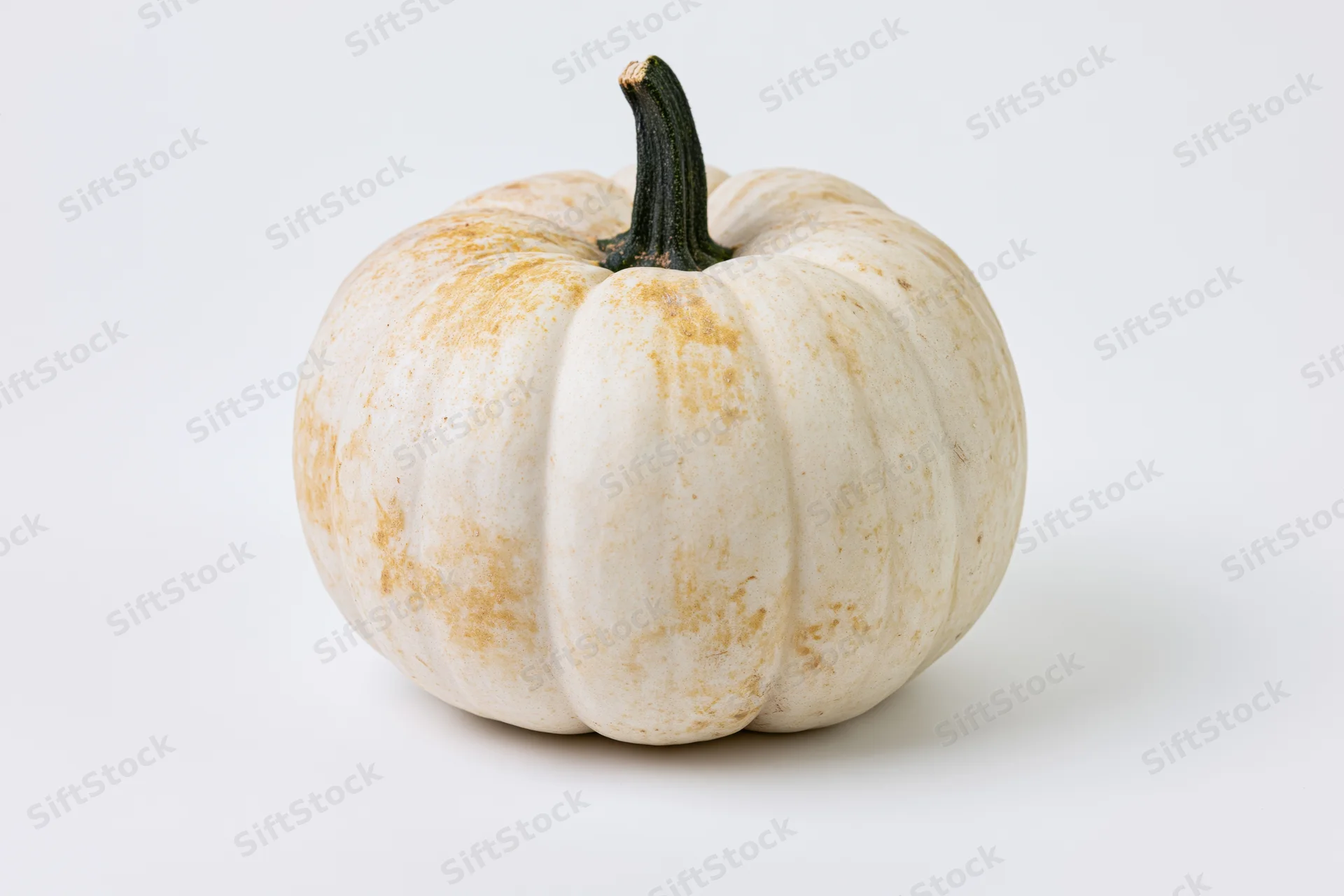 White ghost pumpkin with dark green stem centered on plain white surface