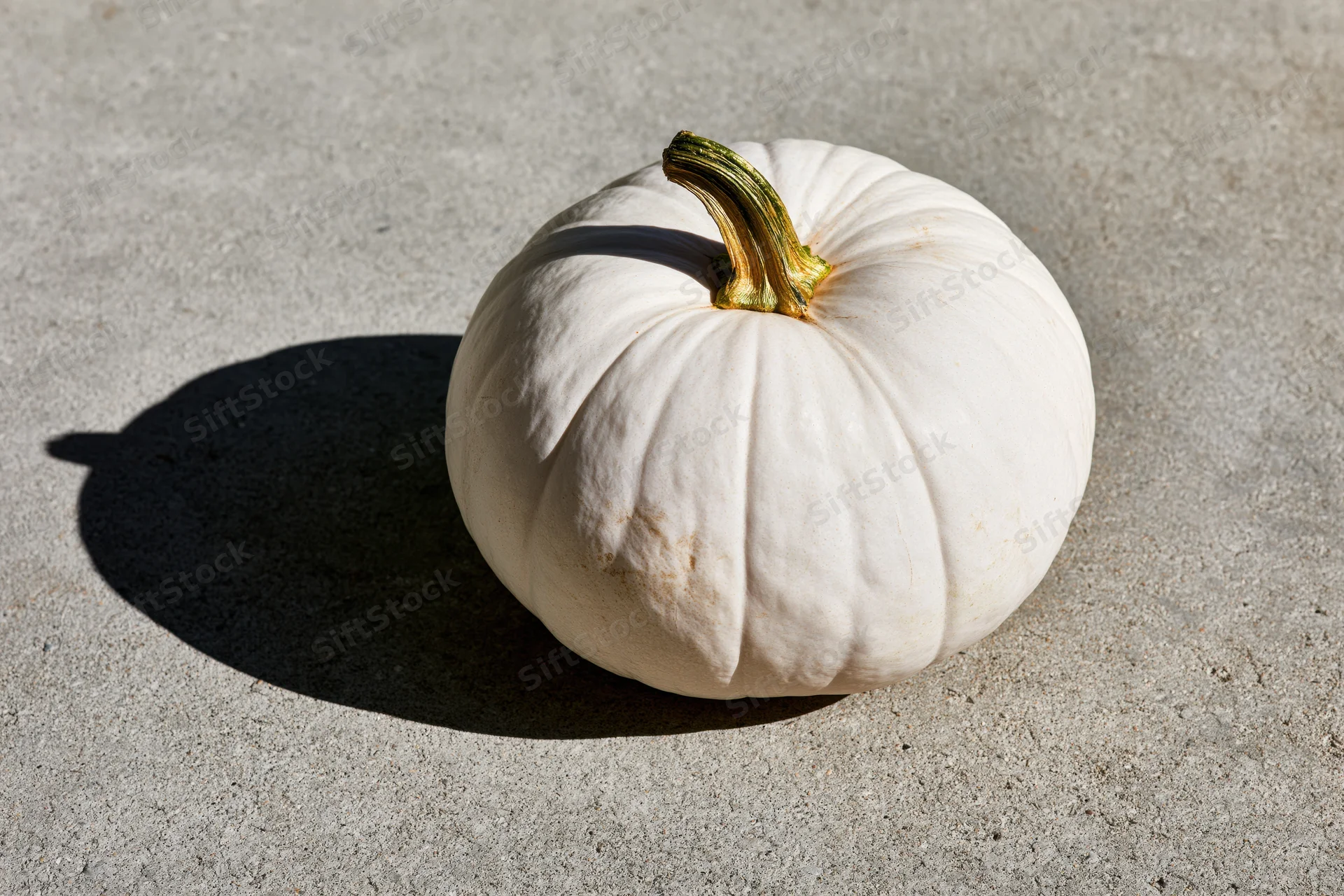 White ghost pumpkin with dried green-gold stem resting on concrete floor under sunlight