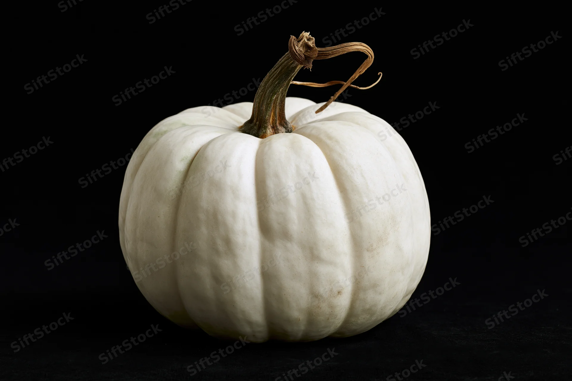 White ghost pumpkin with dried woody stem and curl on black background