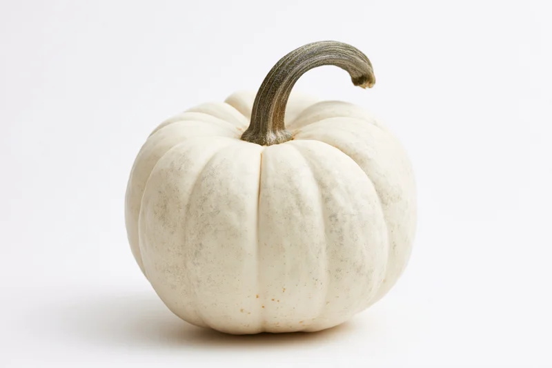 White heirloom pumpkin with curved stem on plain white background