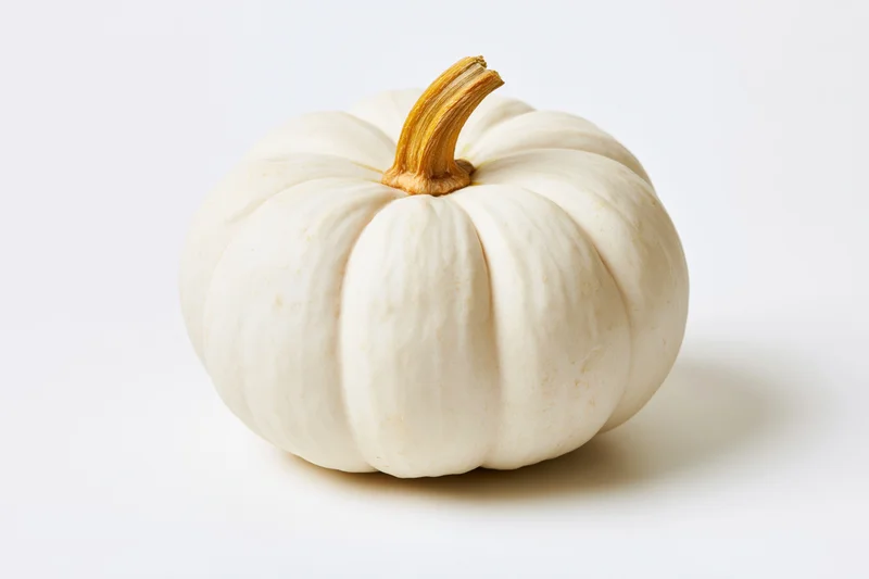 White pumpkin with dry amber stem centered on plain white background