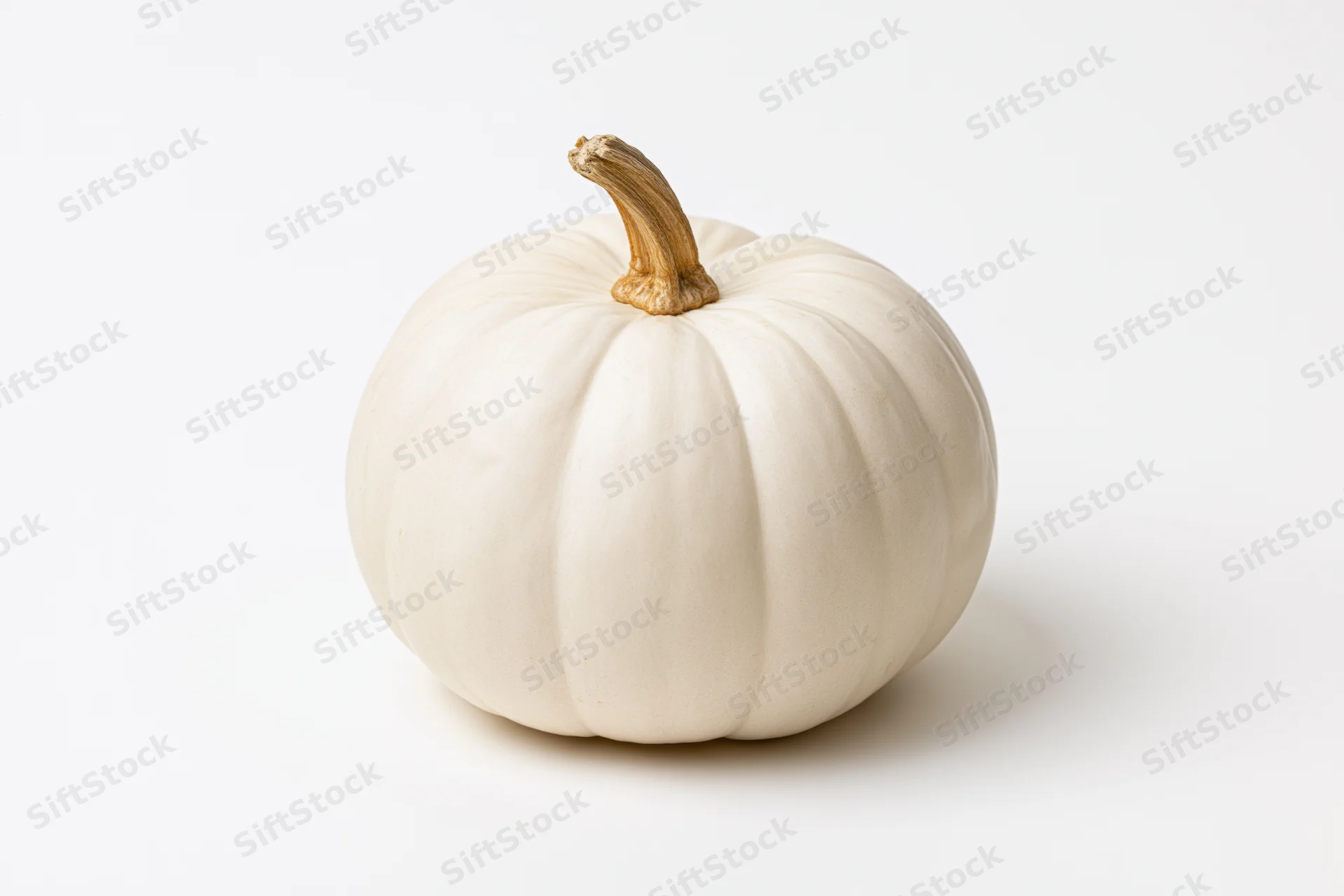 White pumpkin with dry amber stem centered on white background