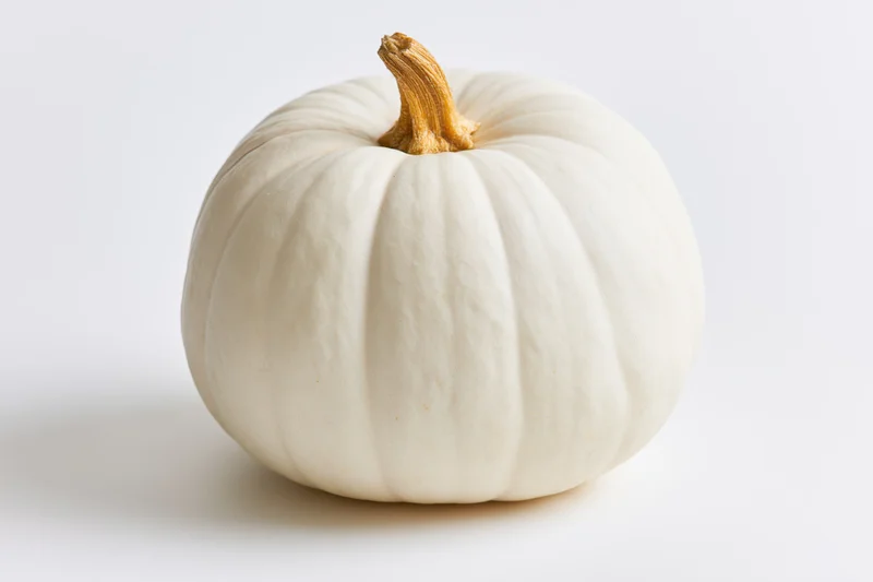 White pumpkin with dry amber stem centered on plain white background