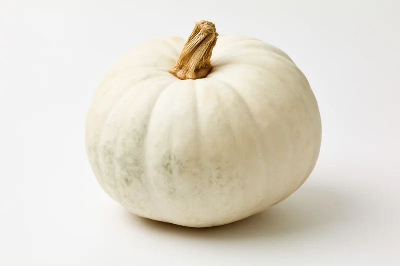 White pumpkin with dry tan stem on plain white background