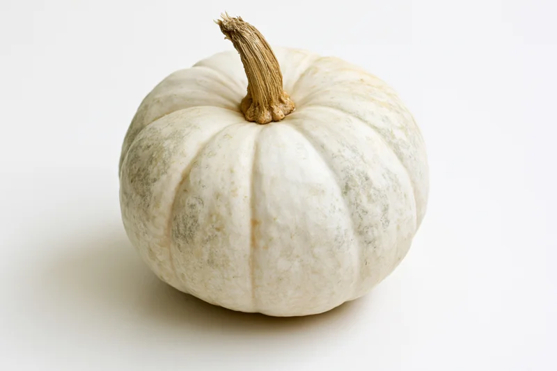 White pumpkin with dry tan stem on plain white surface