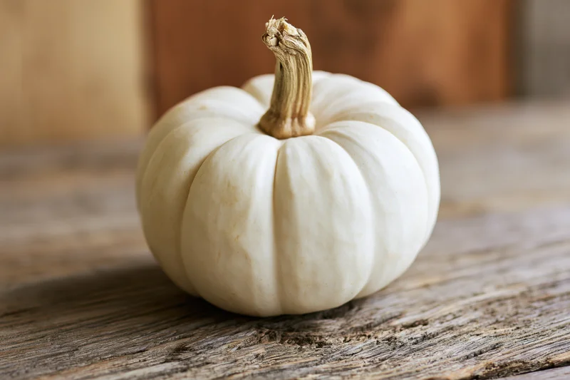 Small white ghost pumpkin with dried tan stem on rustic wooden table