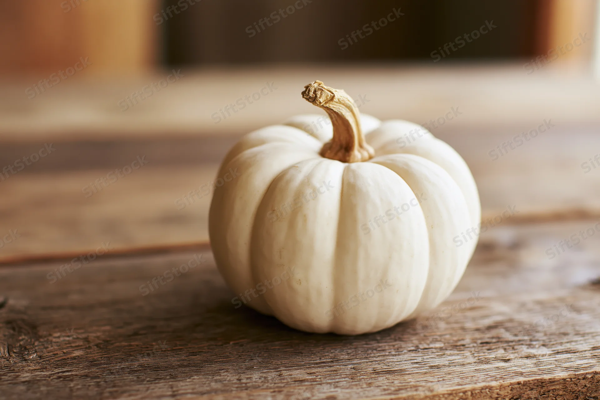 Small white ghost pumpkin with dried tan stem resting on rustic wooden table