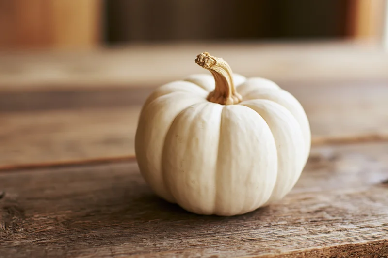 Small white ghost pumpkin with dried tan stem resting on rustic wooden table