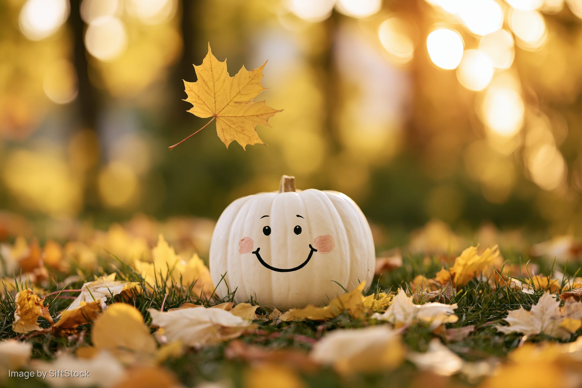 Small white pumpkin with painted smiling face resting on grass among fallen yellow maple leaves in autumn setting