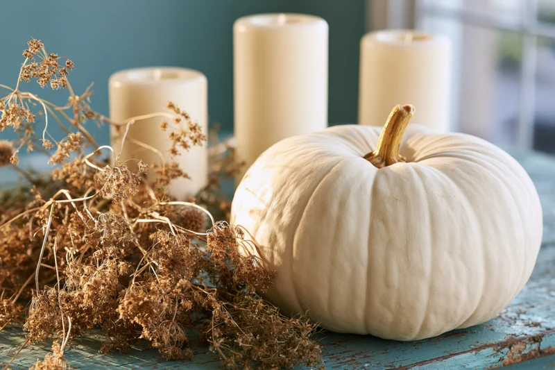 White heirloom pumpkin with dried flowers and candles arranged on a rustic blue wooden table