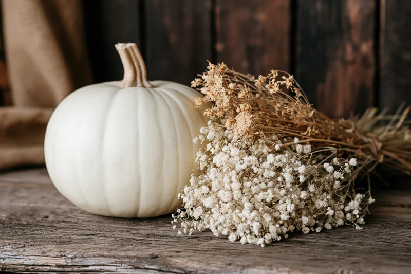 White pumpkin beside dried flowers on a weathered wooden table