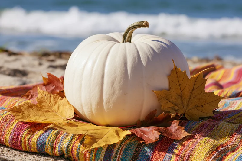 White pumpkin resting on colorful blanket with dried autumn leaves on sandy beach near ocean waves