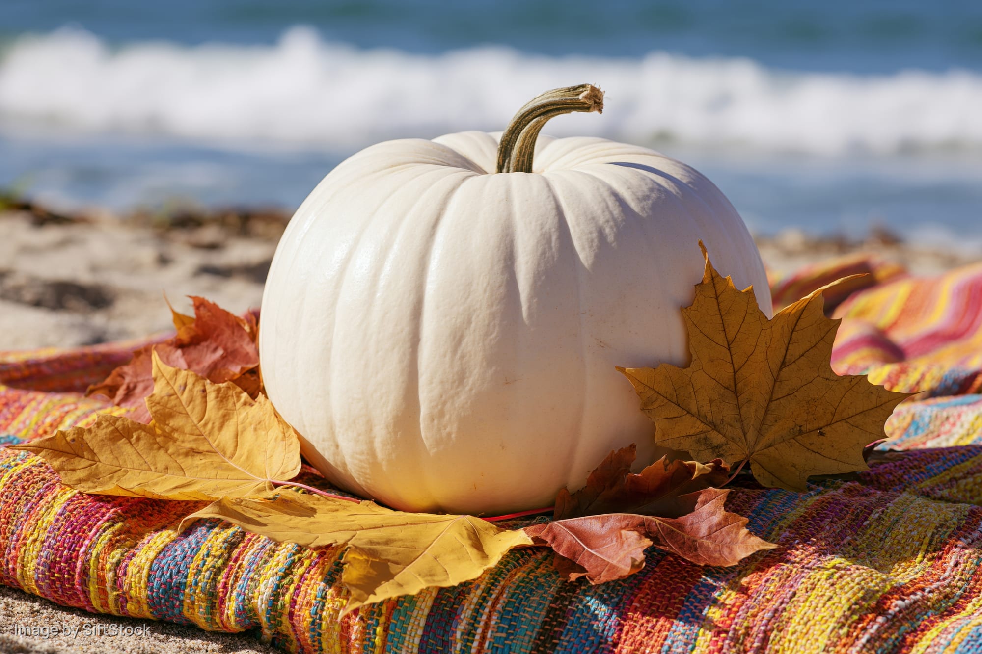 White pumpkin resting on colorful blanket with dried autumn leaves on sandy beach near ocean waves