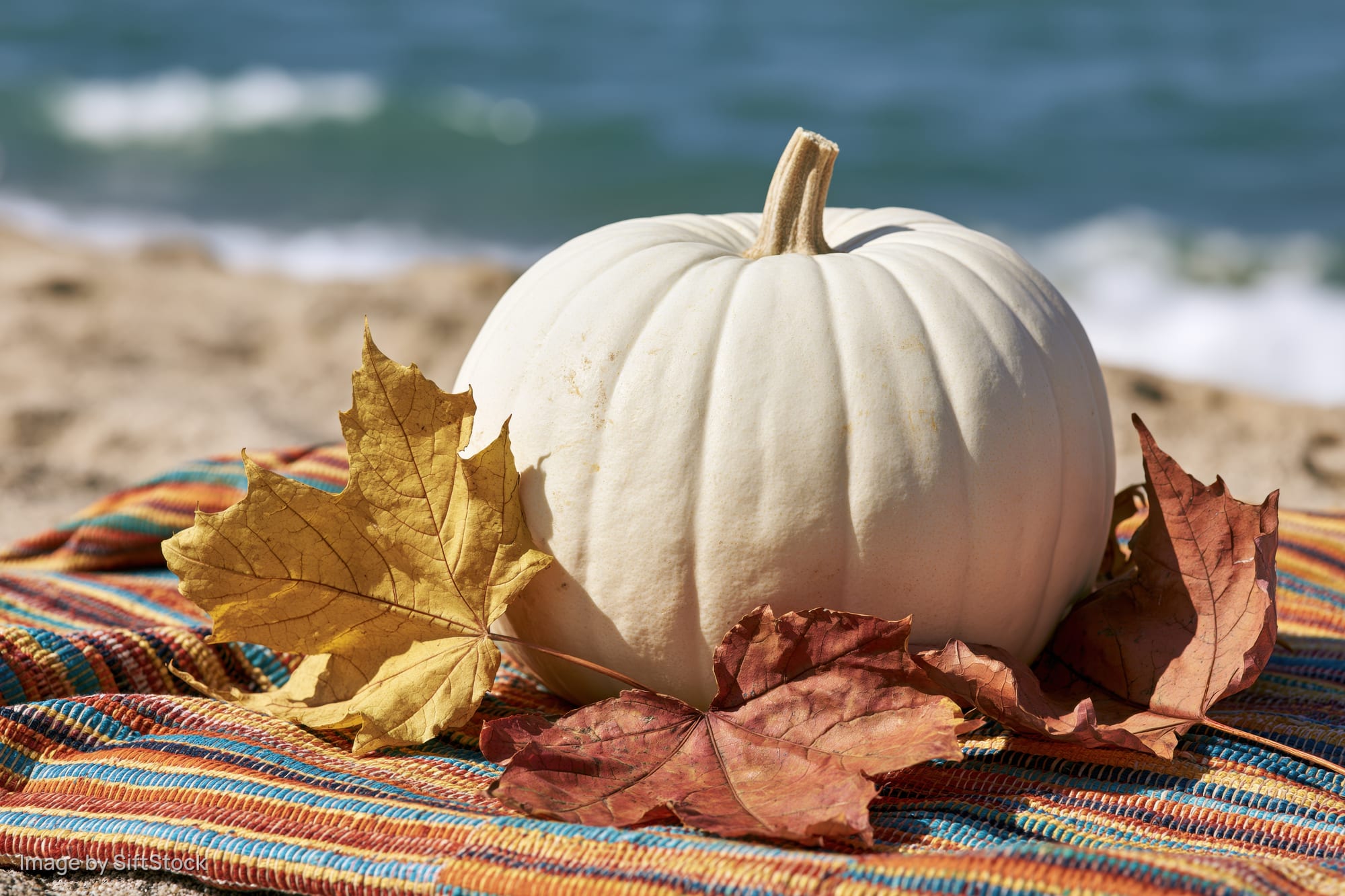 White pumpkin with dried autumn leaves on a striped towel on sandy beach near ocean waves