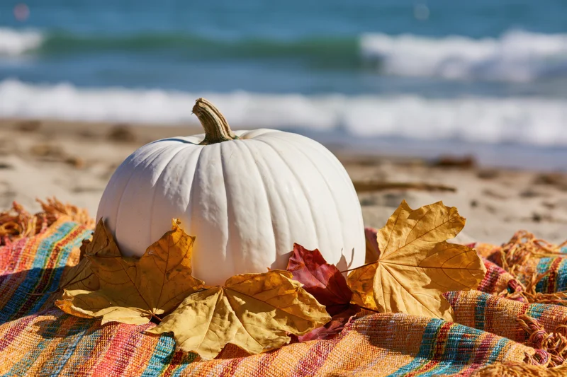 White pumpkin surrounded by dried autumn leaves on a colorful woven blanket at the beach