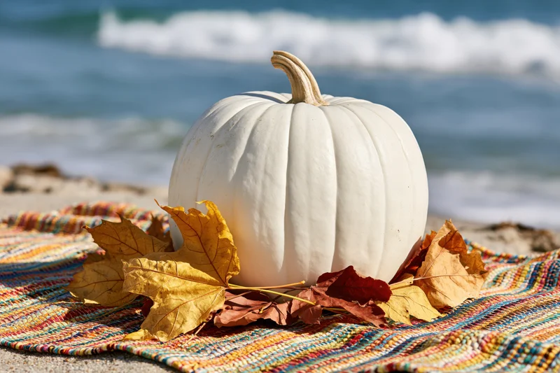 White pumpkin with dried autumn leaves on a colorful woven blanket at the beach