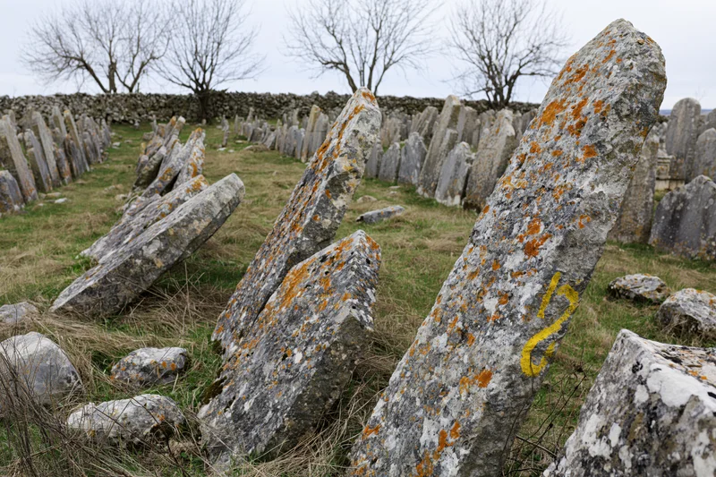 Weathered limestone gravestones in an ancient jewish cemetery with moss and lichen on grassy field under overcast sky