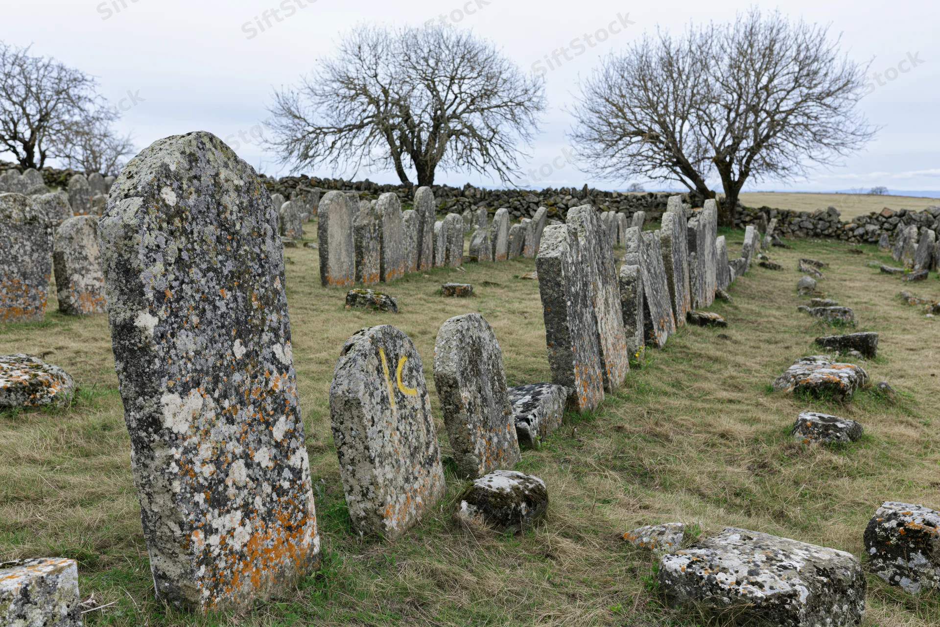 Ancient jewish cemetery with weathered limestone gravestones in a grassy field under overcast sky
