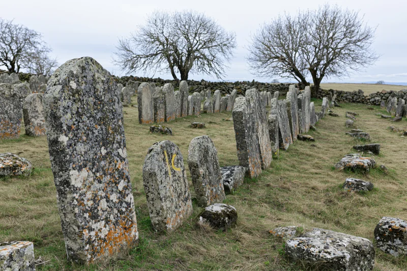 Ancient jewish cemetery with weathered limestone gravestones in a grassy field under overcast sky